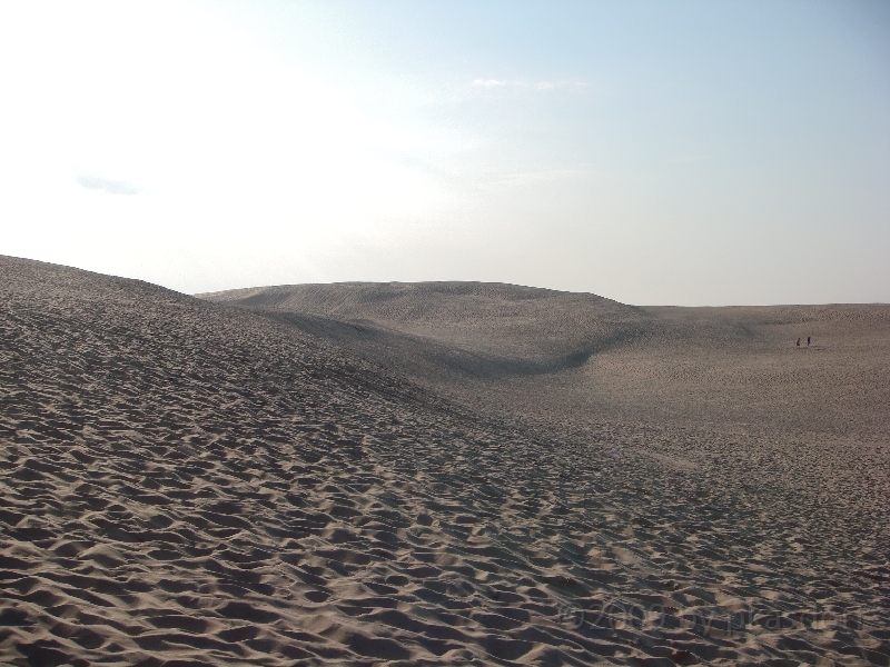 Western Michigan [2009] 065.JPG - Scenes from Silver Lake State Park, Michigan.